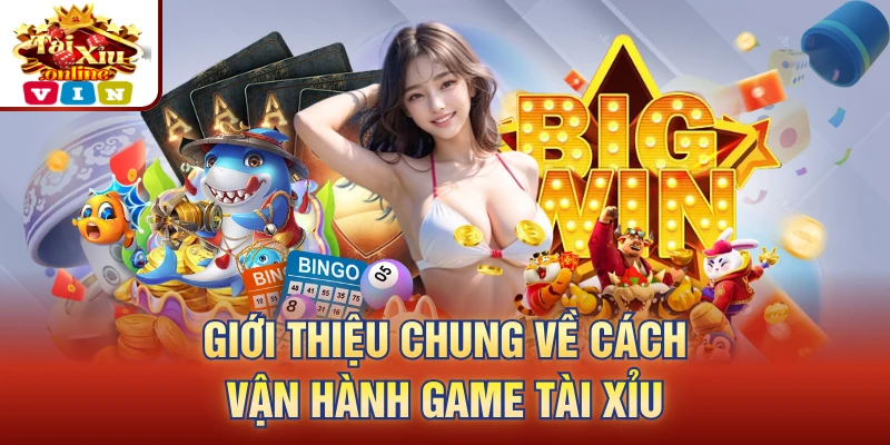Giới thiệu chung về cách vận hành game tài xỉu